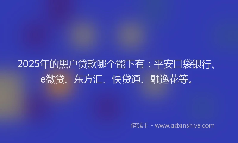2025年的黑户贷款哪个能下有：平安口袋银行、e微贷、东方汇、快贷通、融逸花等。