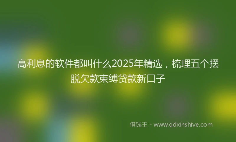 高利息的软件都叫什么2025年精选，梳理五个摆脱欠款束缚贷款新口子