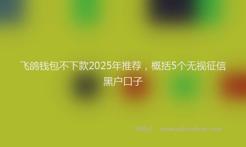飞鸽钱包不下款2025年推荐，概括5个无视征信黑户口子