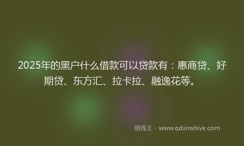 2025年的黑户什么借款可以贷款有：惠商贷、好期贷、东方汇、拉卡拉、融逸花等。