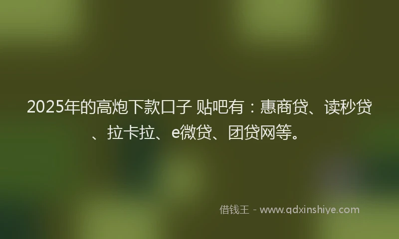 2025年的高炮下款口子 贴吧有：惠商贷、读秒贷、拉卡拉、e微贷、团贷网等。