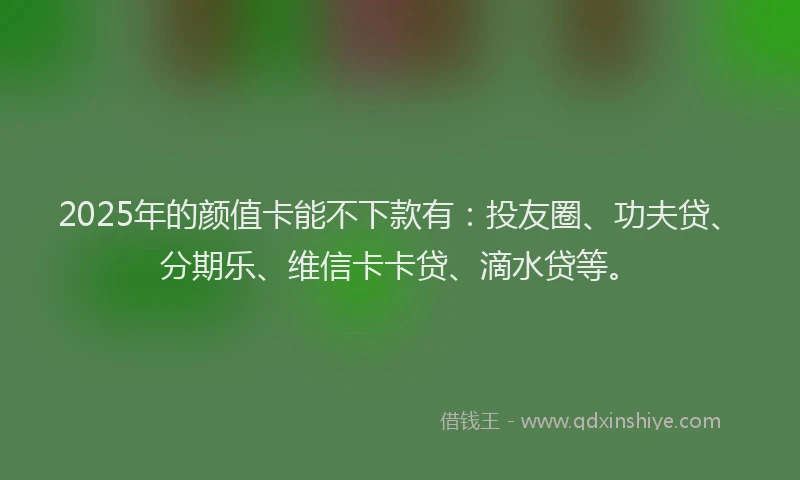 2025年的颜值卡能不下款有:投友圈、功夫贷、分期乐、维信卡卡贷、滴水贷等。