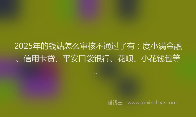 2025年的钱站怎么审核不通过了有：度小满金融、信用卡贷、平安口袋银行、花呗、小花钱包等。