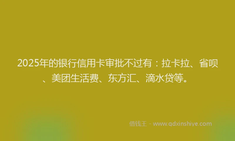 2025年的银行信用卡审批不过有：拉卡拉、省呗、美团生活费、东方汇、滴水贷等。
