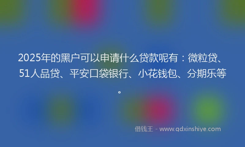 2025年的黑户可以申请什么贷款呢有：微粒贷、51人品贷、平安口袋银行、小花钱包、分期乐等。