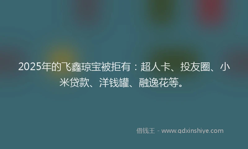 2025年的飞鑫琼宝被拒有：超人卡、投友圈、小米贷款、洋钱罐、融逸花等。