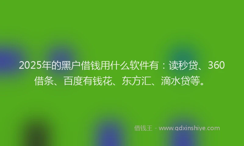 2025年的黑户借钱用什么软件有：读秒贷、360借条、百度有钱花、东方汇、滴水贷等。