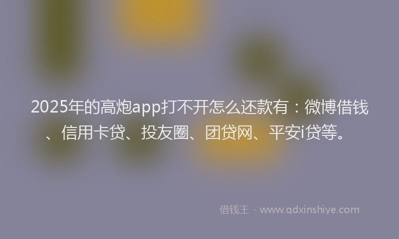 2025年的高炮app打不开怎么还款有：微博借钱、信用卡贷、投友圈、团贷网、平安i贷等。