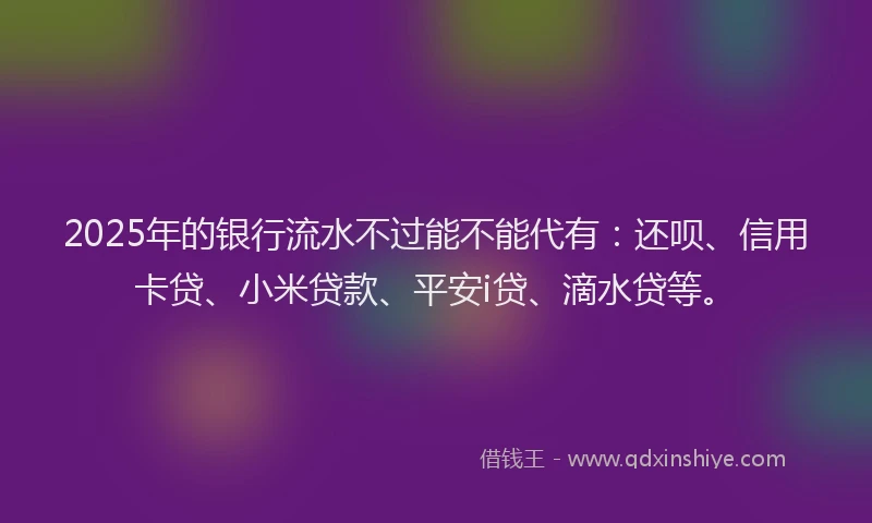 2025年的银行流水不过能不能代有：还呗、信用卡贷、小米贷款、平安i贷、滴水贷等。