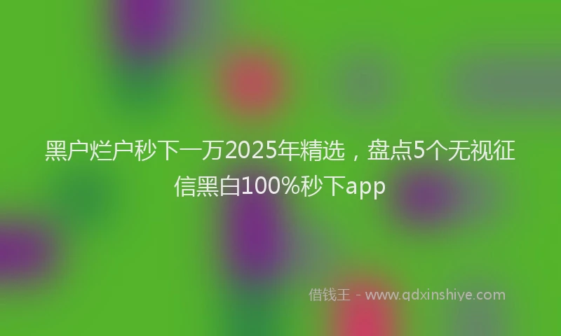 黑户烂户秒下一万2025年精选，盘点5个无视征信黑白100%秒下app