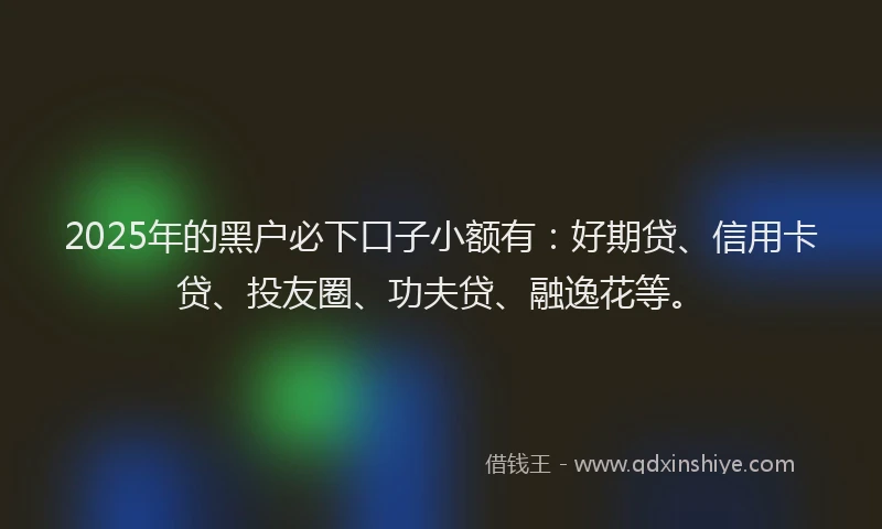 2025年的黑户必下口子小额有：好期贷、信用卡贷、投友圈、功夫贷、融逸花等。