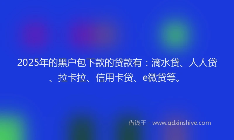 2025年的黑户包下款的贷款有：滴水贷、人人贷、拉卡拉、信用卡贷、e微贷等。