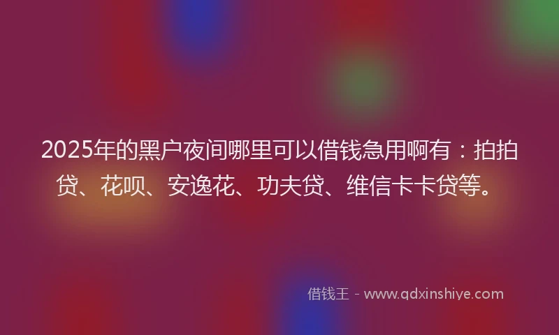 2025年的黑户夜间哪里可以借钱急用啊有：拍拍贷、花呗、安逸花、功夫贷、维信卡卡贷等。