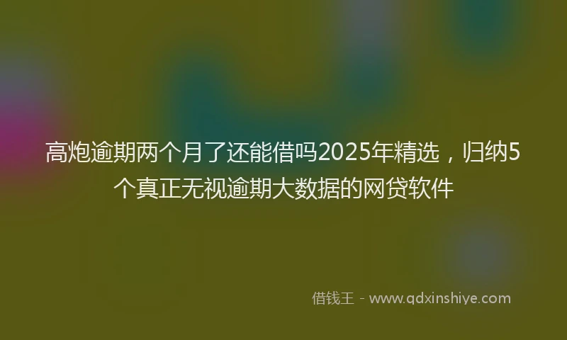 高炮逾期两个月了还能借吗2025年精选，归纳5个真正无视逾期大数据的网贷软件