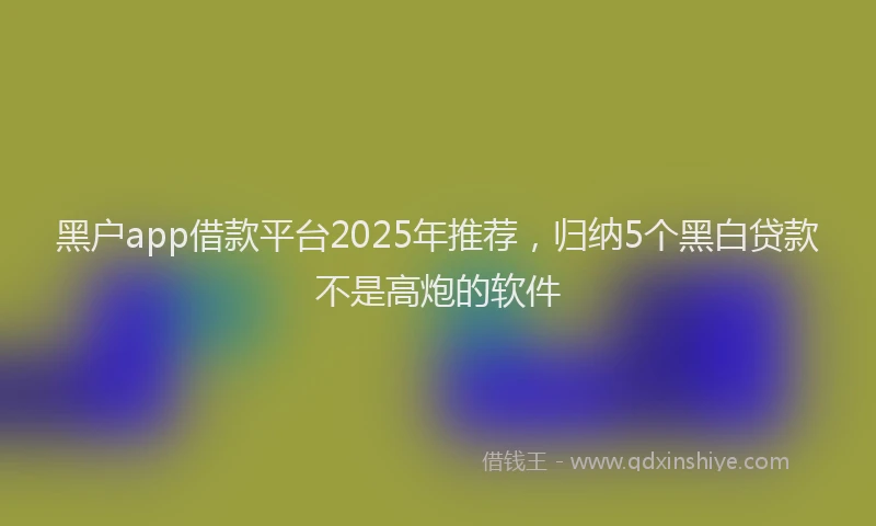 黑户app借款平台2025年推荐，归纳5个黑白贷款不是高炮的软件