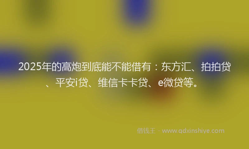 2025年的高炮到底能不能借有：东方汇、拍拍贷、平安i贷、维信卡卡贷、e微贷等。
