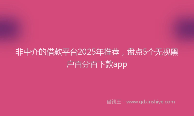 非中介的借款平台2025年推荐，盘点5个无视黑户百分百下款app