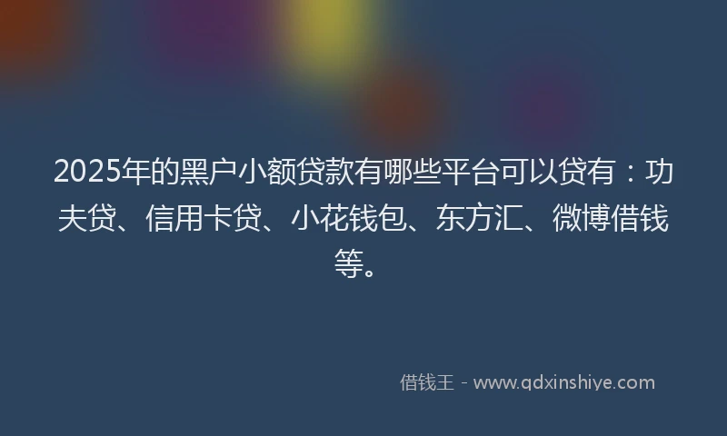 2025年的黑户小额贷款有哪些平台可以贷有：功夫贷、信用卡贷、小花钱包、东方汇、微博借钱等。