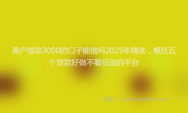 黑户借款3000的口子能借吗2025年精选，概括五个贷款好做不看征信的平台