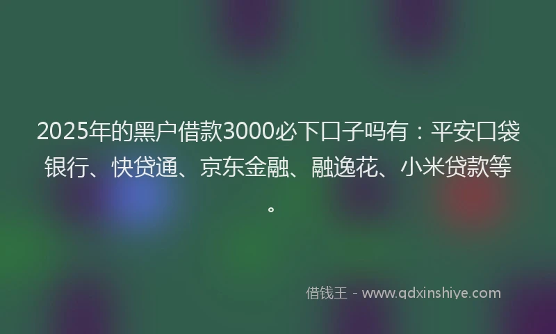 2025年的黑户借款3000必下口子吗有：平安口袋银行、快贷通、京东金融、融逸花、小米贷款等。
