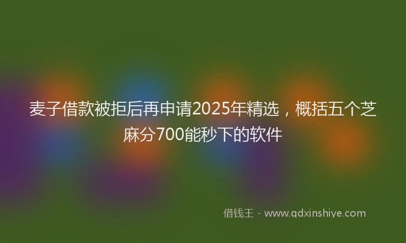 麦子借款被拒后再申请2025年精选，概括五个芝麻分700能秒下的软件