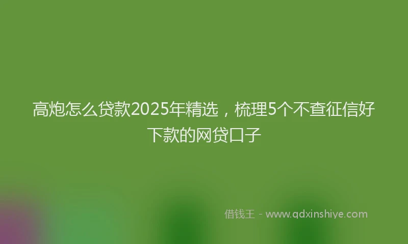 高炮怎么贷款2025年精选，梳理5个不查征信好下款的网贷口子