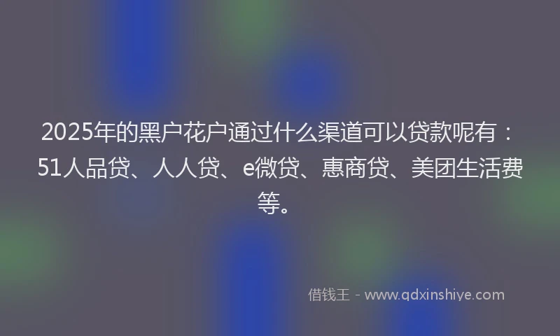 2025年的黑户花户通过什么渠道可以贷款呢有：51人品贷、人人贷、e微贷、惠商贷、美团生活费等。