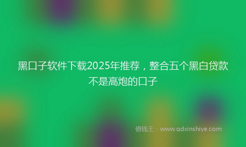 黑口子软件下载2025年推荐，整合五个黑白贷款不是高炮的口子