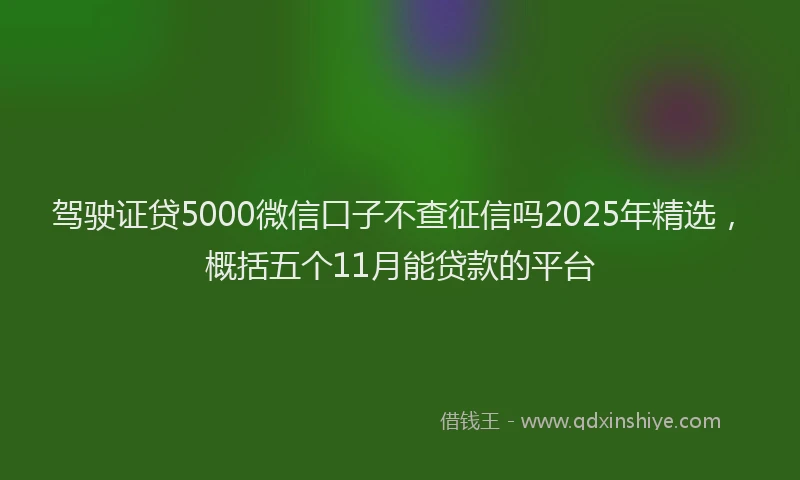 驾驶证贷5000微信口子不查征信吗2025年精选，概括五个11月能贷款的平台
