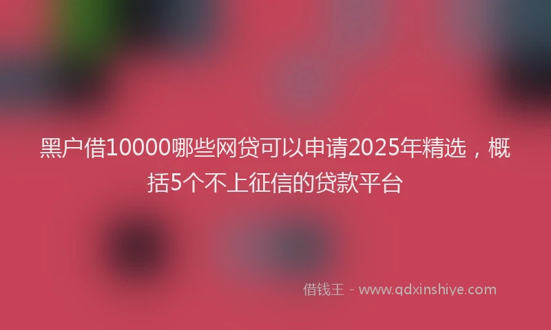 黑户借10000哪些网贷可以申请2025年精选，概括5个不上征信的贷款平台