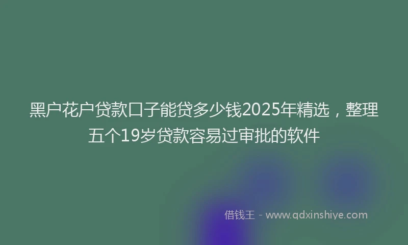 黑户花户贷款口子能贷多少钱2025年精选，整理五个19岁贷款容易过审批的软件