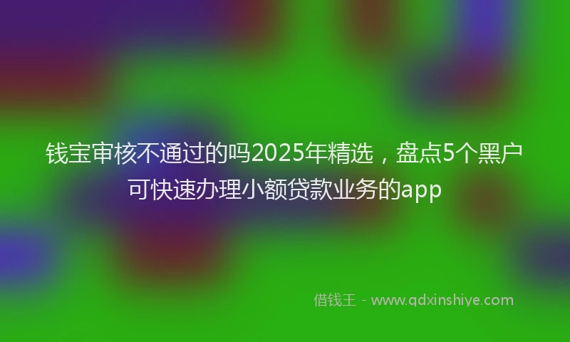 钱宝审核不通过的吗2025年精选，盘点5个黑户可快速办理小额贷款业务的app