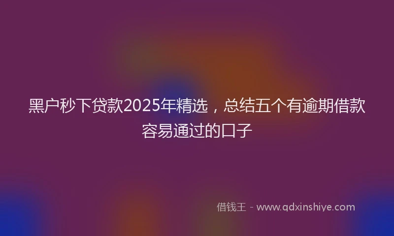 黑户秒下贷款2025年精选，总结五个有逾期借款容易通过的口子