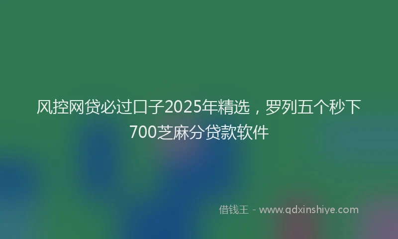 风控网贷必过口子2025年精选，罗列五个秒下700芝麻分贷款软件