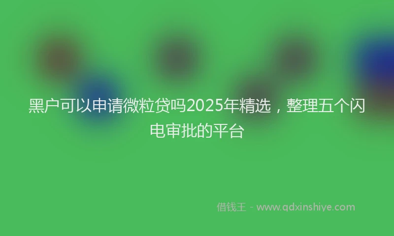 黑户可以申请微粒贷吗2025年精选，整理五个闪电审批的平台