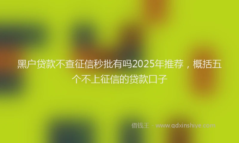 黑户贷款不查征信秒批有吗2025年推荐，概括五个不上征信的贷款口子