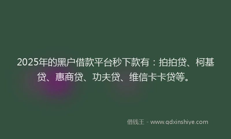 2025年的黑户借款平台秒下款有：拍拍贷、柯基贷、惠商贷、功夫贷、维信卡卡贷等。
