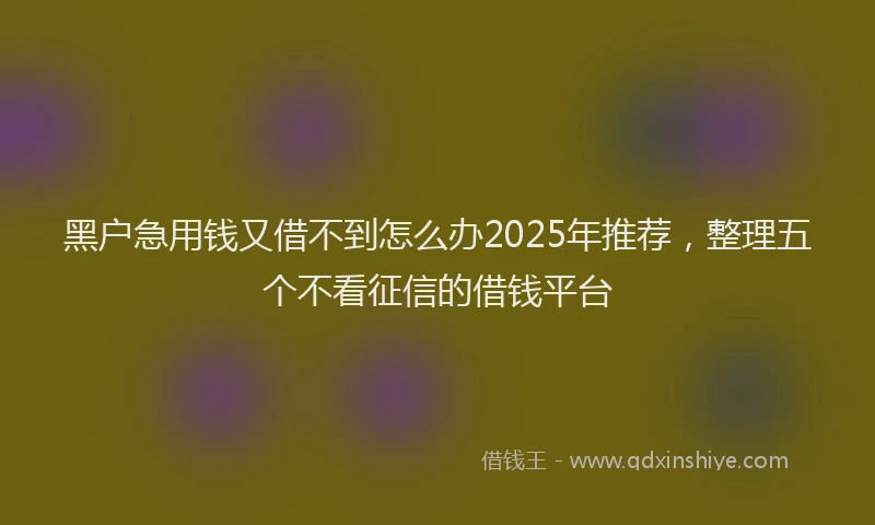 黑户急用钱又借不到怎么办2025年推荐，整理五个不看征信的借钱平台