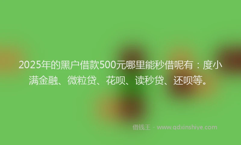 2025年的黑户借款500元哪里能秒借呢有：度小满金融、微粒贷、花呗、读秒贷、还呗等。