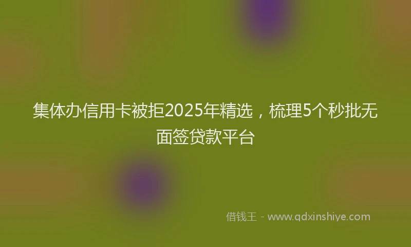集体办信用卡被拒2025年精选，梳理5个秒批无面签贷款平台