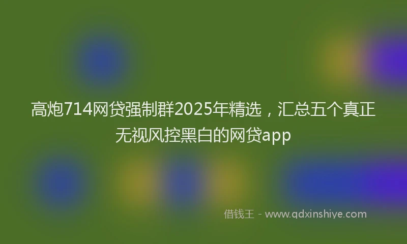 高炮714网贷强制群2025年精选，汇总五个真正无视风控黑白的网贷app