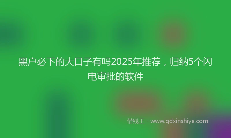 黑户必下的大口子有吗2025年推荐，归纳5个闪电审批的软件