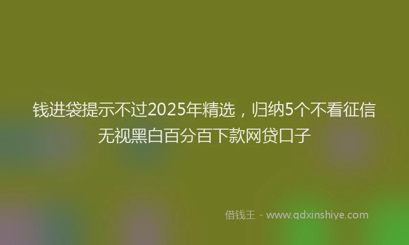 钱进袋提示不过2025年精选，归纳5个不看征信无视黑白百分百下款网贷口子