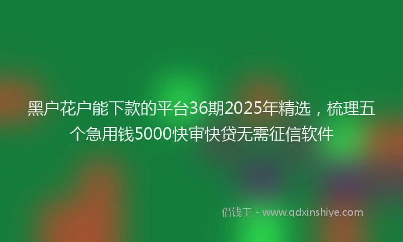 黑户花户能下款的平台36期2025年精选，梳理五个急用钱5000快审快贷无需征信软件