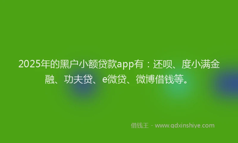 2025年的黑户小额贷款app有：还呗、度小满金融、功夫贷、e微贷、微博借钱等。