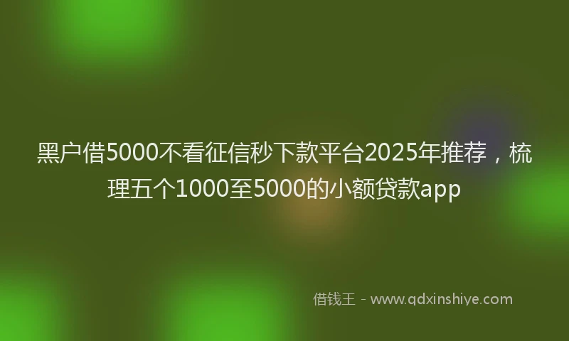 黑户借5000不看征信秒下款平台2025年推荐，梳理五个1000至5000的小额贷款app