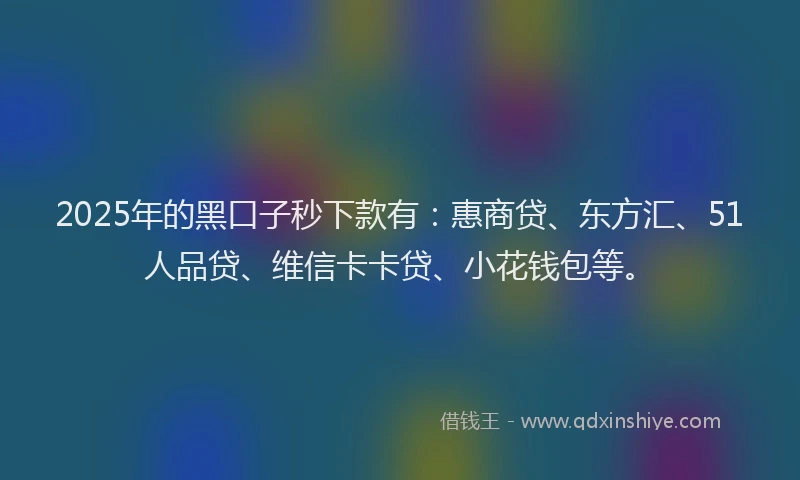 2025年的黑口子秒下款有：惠商贷、东方汇、51人品贷、维信卡卡贷、小花钱包等。