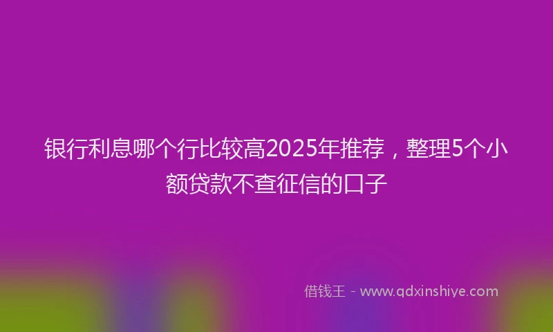 银行利息哪个行比较高2025年推荐，整理5个小额贷款不查征信的口子