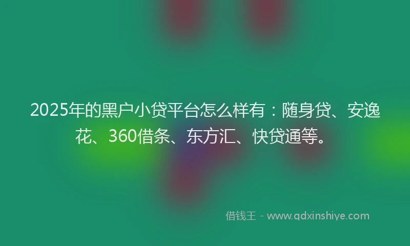 2025年的黑户小贷平台怎么样有：随身贷、安逸花、360借条、东方汇、快贷通等。