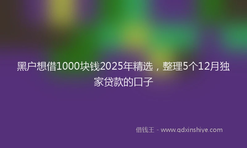 黑户想借1000块钱2025年精选，整理5个12月独家贷款的口子